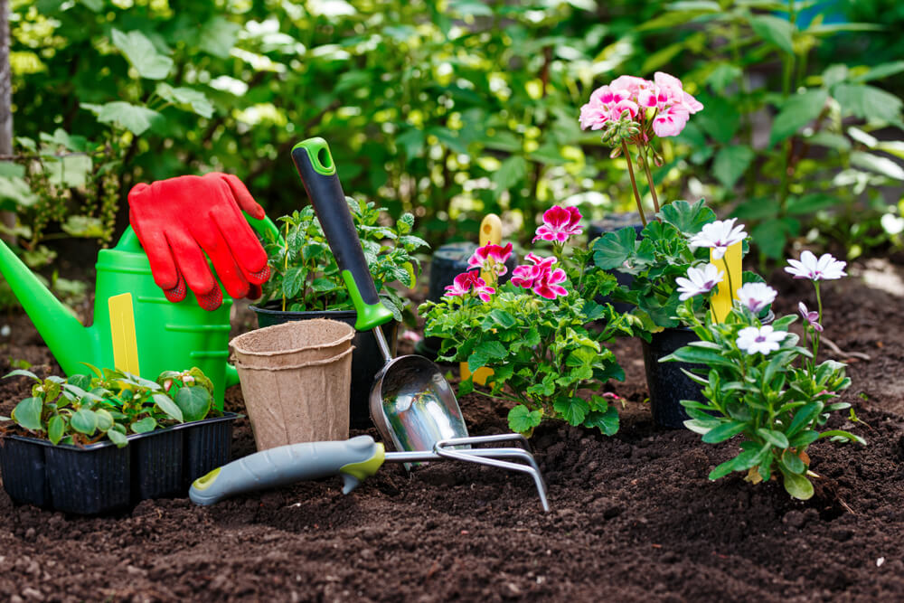 How to prepare soil for gardening get your garden ready for spring
