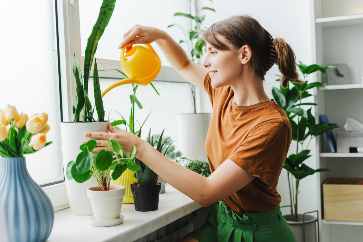 Planting seeds - a comprehensive guide to starting seeds indoors for outdoor gardening success