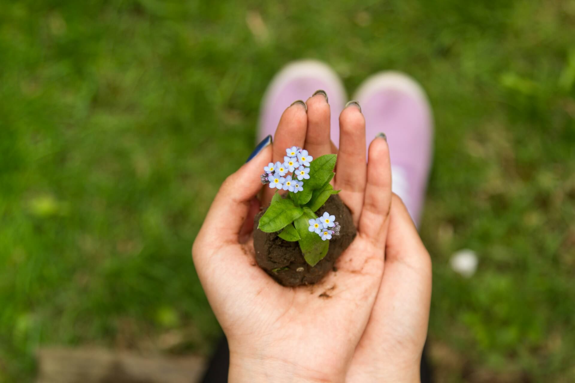 🌱 Transplanting plants: How do you know when it’s time to give them a fresh start?