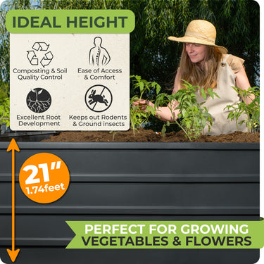 Taller than standard raised garden beds outdoor, this galvanized planter provides optimal drainage and root growth for your plants