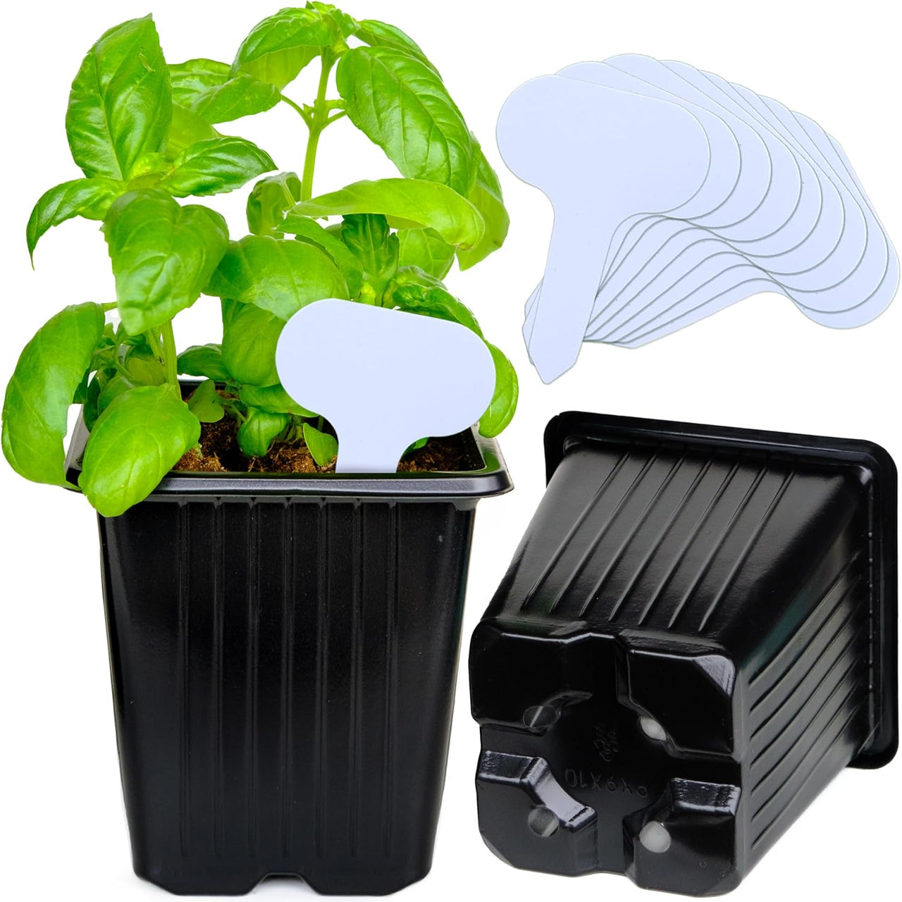 30 Pack 3.8 Inch Deep Plastic Seedling Pots - Reusable Seed Starter Pots