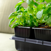Thumbnail for Square Nursery Pots Kit includes 4''elite quality nursery pots and 30 paper tags