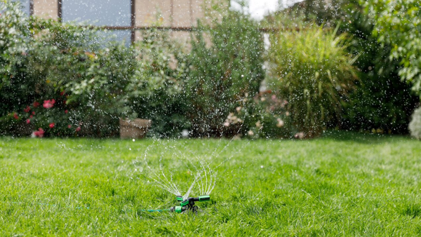 garden sprinkler watering grass in a backyard