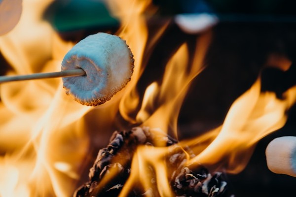 marshmallow roasting in the fire