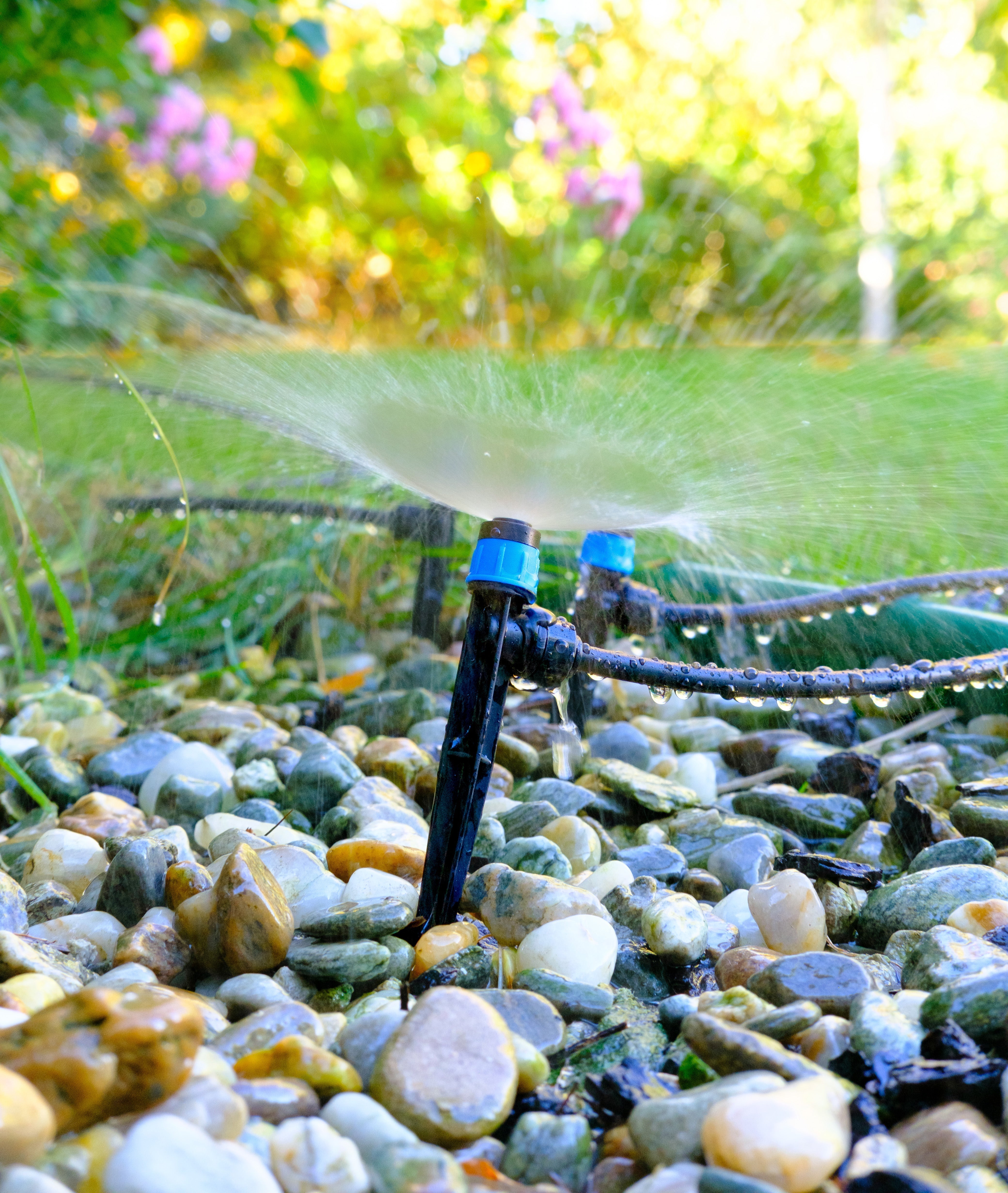 Is Drip Irrigation Worth It? A Gardener's Honest Look at the Pros and Cons