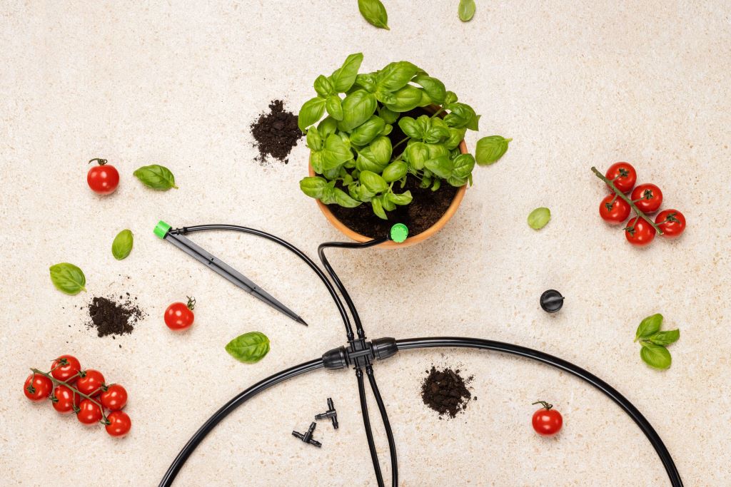 Mastering Drip Irrigation: From Layout to Cost-Effective Setup