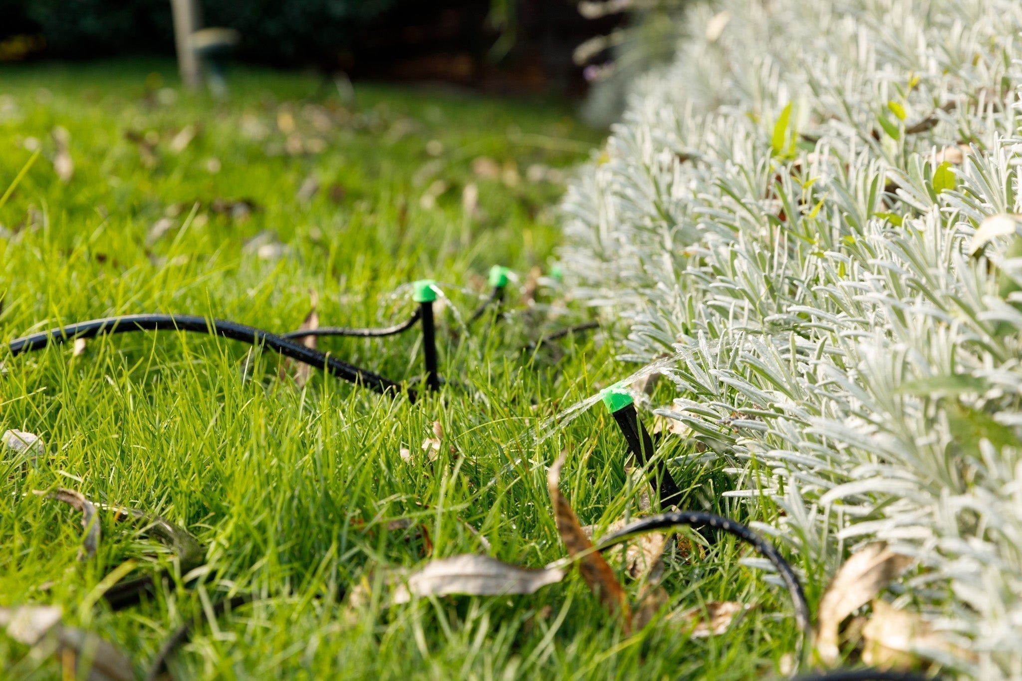 Troubleshooting Your Drip System: 5 Common Parts That Fail and How to Choose Replacements That Last