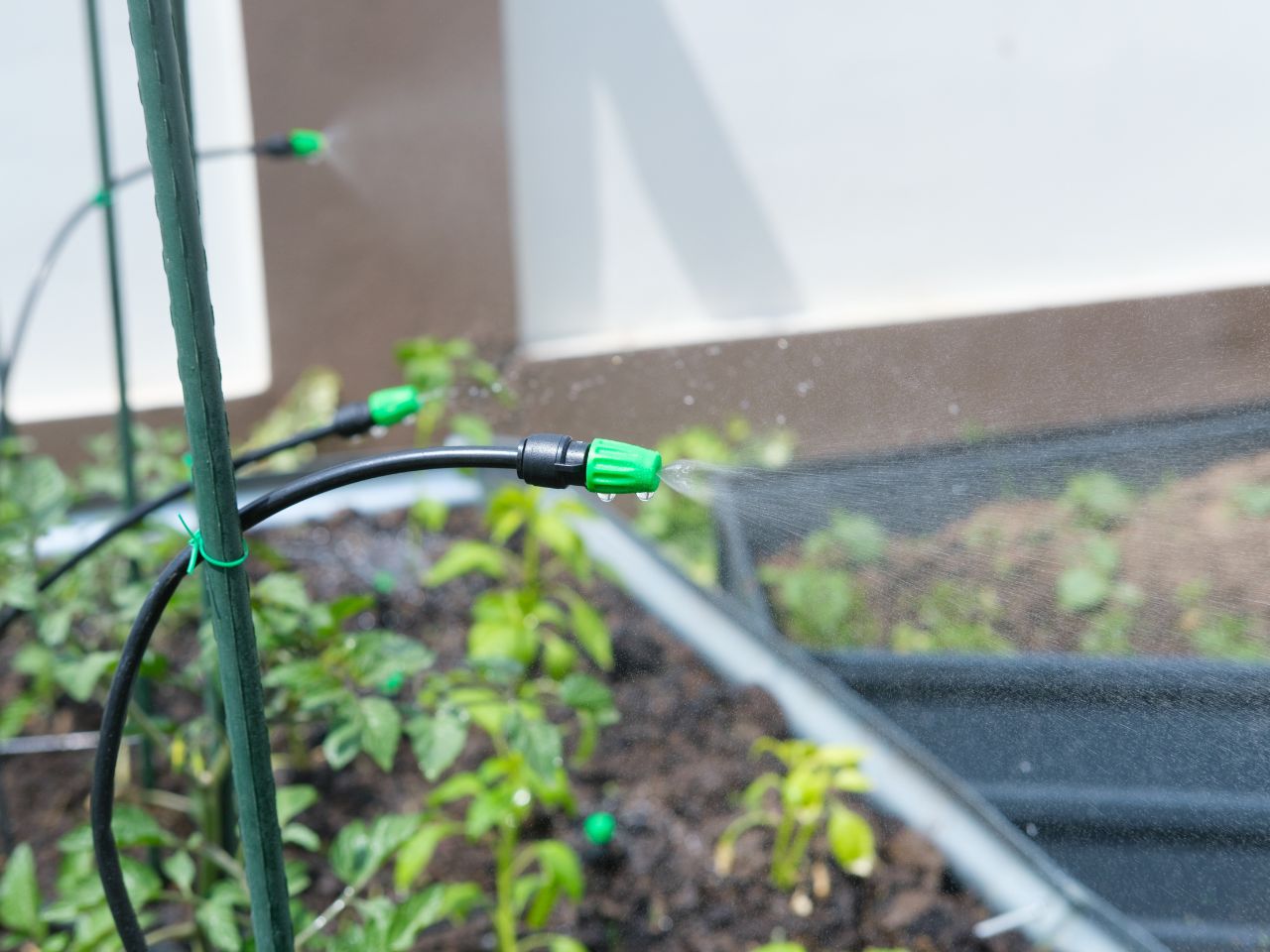 What is the best irrigation system for your garden? A 2025 Expert Guide