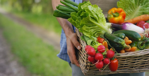 basket of various vegetables hold in hands salad zucchini radish bell pepper