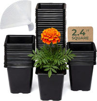 Thumbnail for CARPATHEN 64Pack Square Nursery Pots - 2.4 Inch Plastic Seedling Pots with Drainage Holes - Reusable Seed Starter Pots for Plants, Succulent, Flowers, Vegetables - Plant Starter Pots and Sticker Label