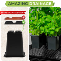 Thumbnail for Designed with a total of 4 outlets, our starter plant pots prioritize impeccable water drainage, putting an end to root rot woes and creating the perfect environment for your plant roots to flourish