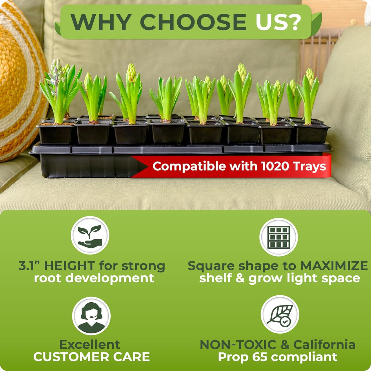 Space-saving with Carpathen square seedling pots. Crafted for efficiency, these plant starting pots fit 32 flower pots in a 1020 standard flat.