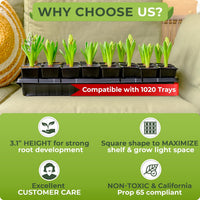 Thumbnail for Space-saving with Carpathen square seedling pots. Crafted for efficiency, these plant starting pots fit 32 flower pots in a 1020 standard flat.