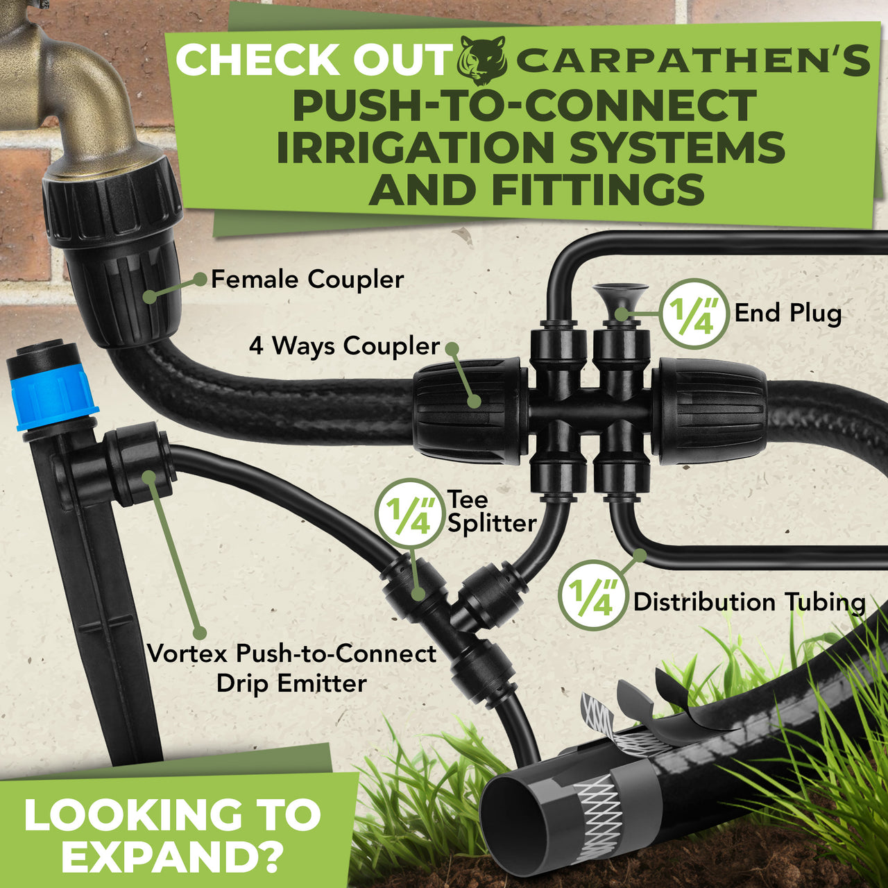 1/2 Irrigation Tubing Hose Mainline - 50 ft Drip Irrigation Tubing for Push-To-Connect Garden Irrigation System | Carpathen, 6