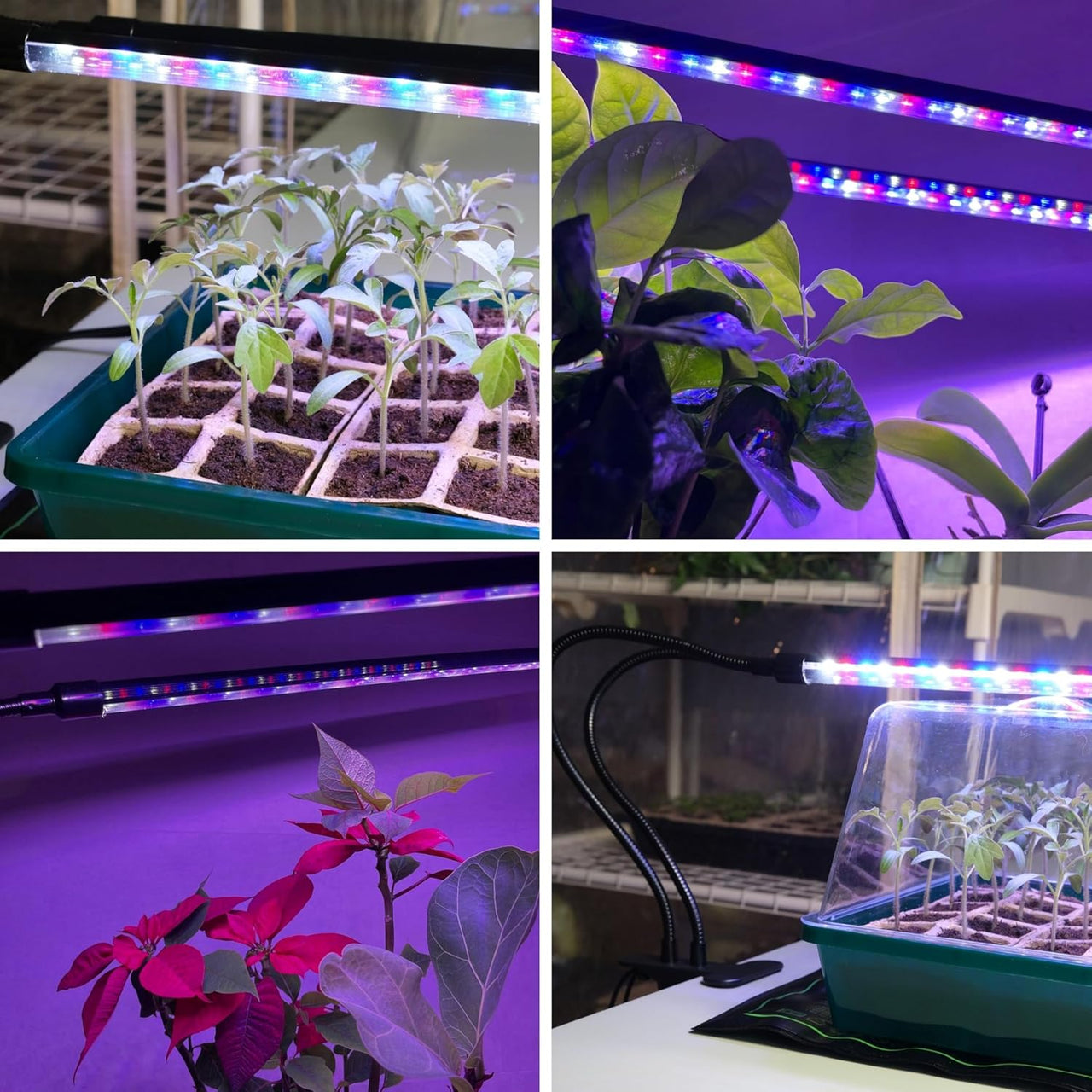 can led shop lights be used for growing plants Dual-Strip LED Grow Light with Flexible Gooseneck, 20” Full Spectrum, Adjustable Brightness & Timer, Targeted Lighting for Seedlings & Indoor Plants |
