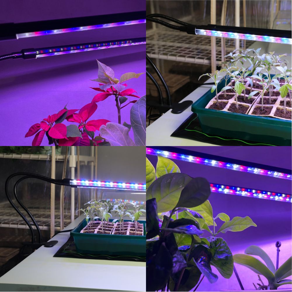 grow light for plant Dual-Strip LED Grow Light with Flexible Gooseneck, 20” Full Spectrum, Adjustable Brightness & Timer, Targeted Lighting for Seedlings & Indoor Plants |