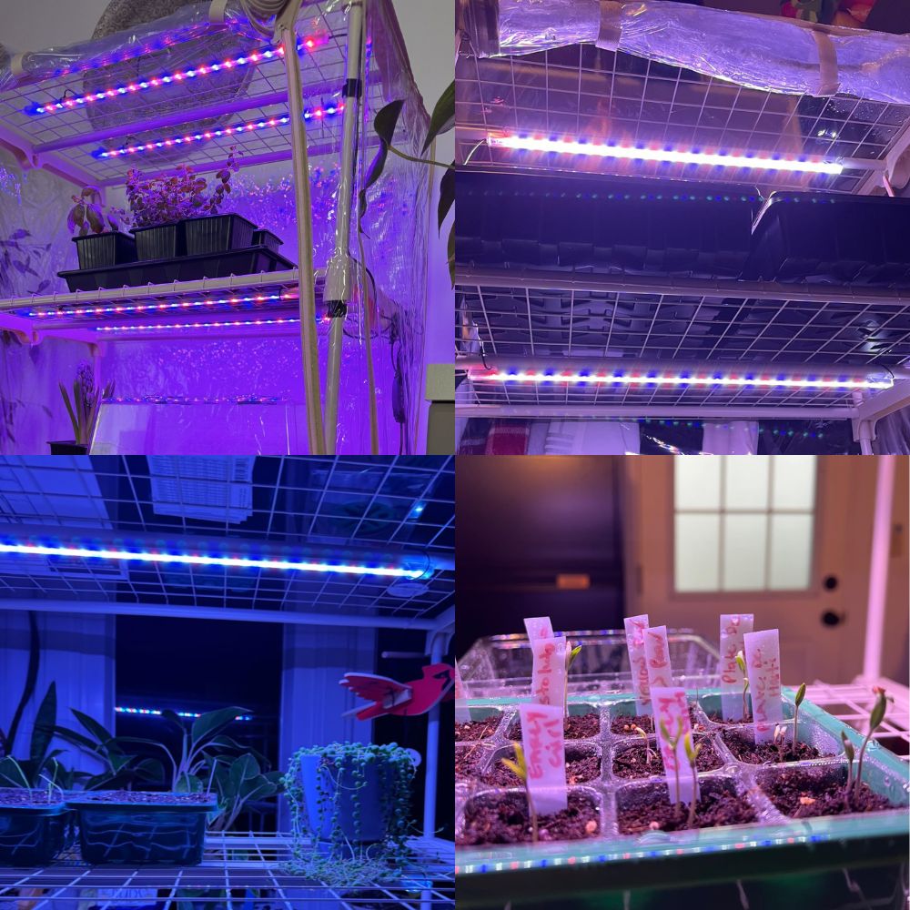 grow lights strips for plants Four-Strip LED Grow Light - 20” Full Spectrum, High PPFD, Even Light Distribution for Indoor Plants, Seedlings & Multi-Shelf Growing