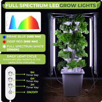 Thumbnail for The built-in full-spectrum LED lights of the aeroponic tower garden system mimic natural sunlight and feature a 3/9/12-hour timer — giving your plants the perfect day–night cycle automatically. 