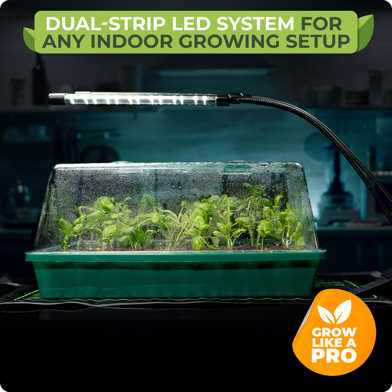 1 adjustable dual-head LED grow light for healthy seedling
