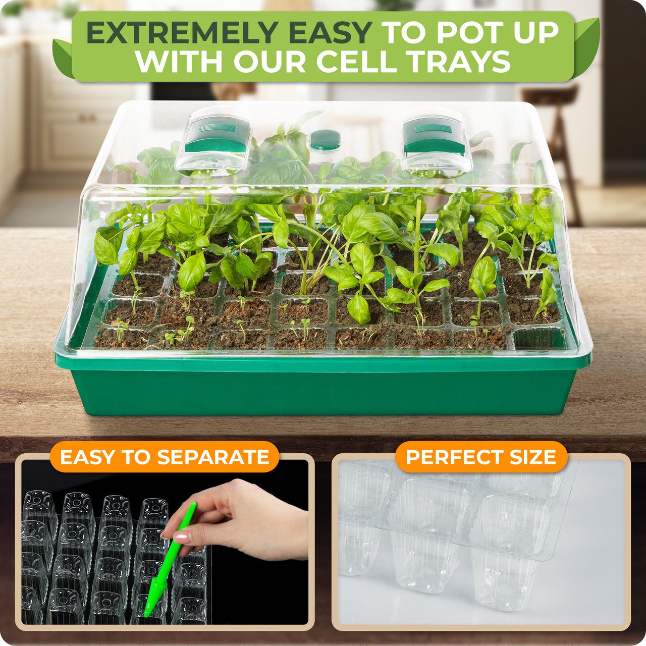 Extremely easy to pot up with our cell trays.