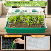 Thumbnail for Extremely easy to pot up with our cell trays.