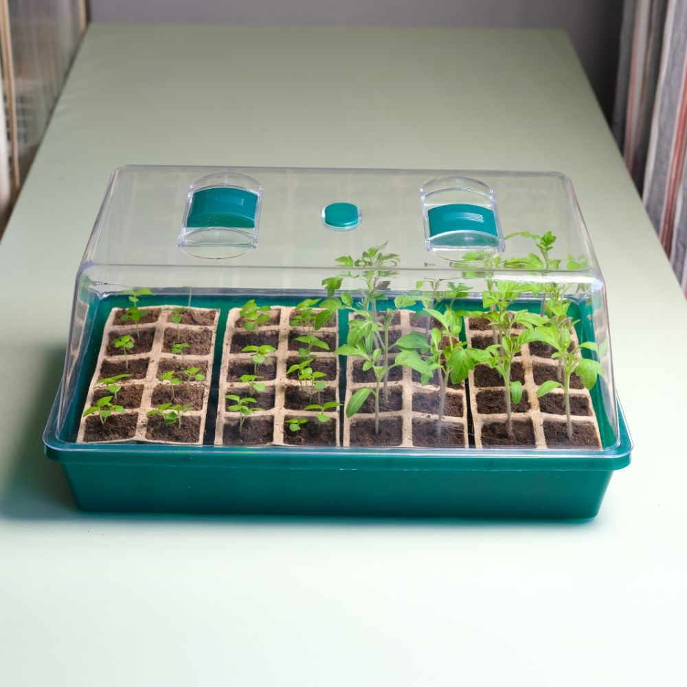 Seed Starter Tray - Seed Starting Tray with Humidity Dome and 80 Peat Pots for Seedlings - Perfect for germination, root growth, and hassle-free transplanting indoors or in mini greenhouses.