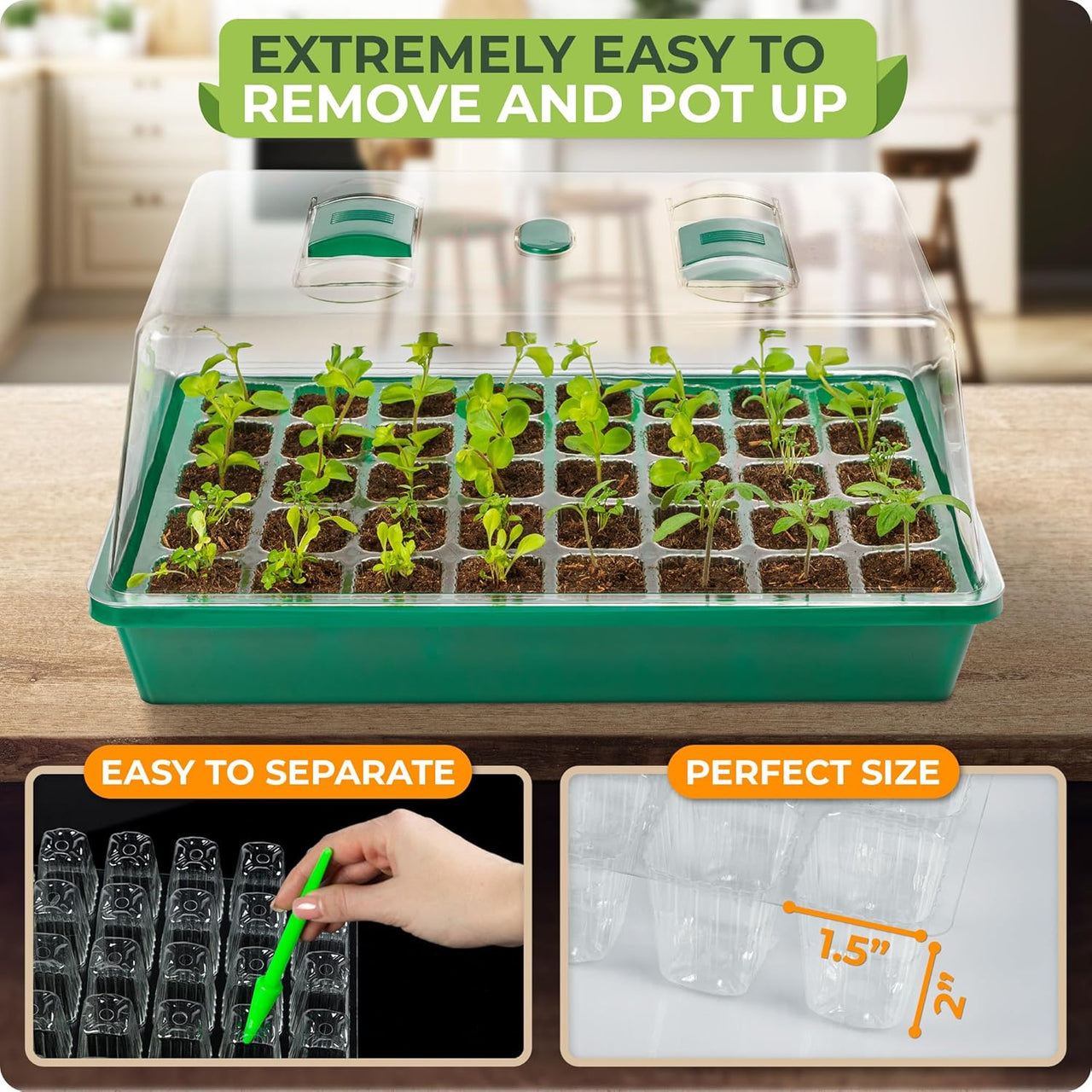 Hassle-Free Transplanting with Cells – Our starter trays for planting seeds feature 80-cell inserts, making it easy to move seedlings without disturbing roots. 