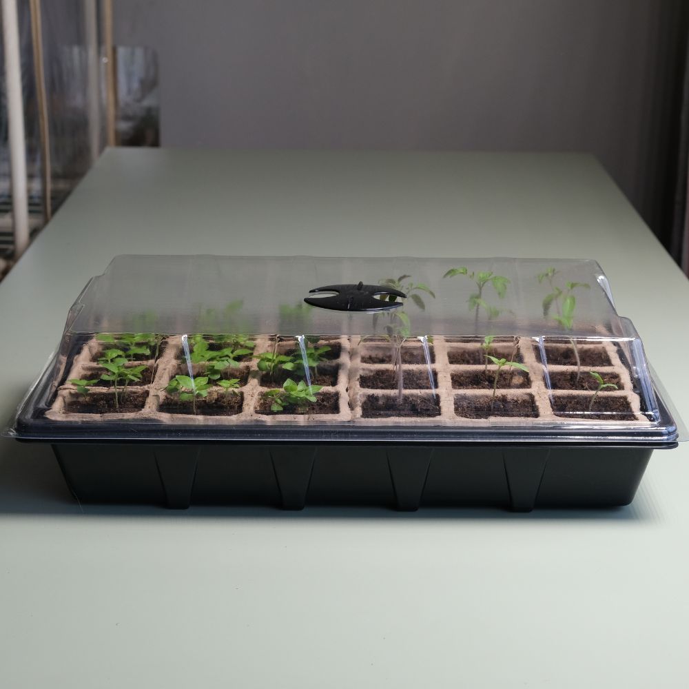 Seed Starter Tray Kit - 5 x Seed Starting Trays with Humidity Dome - includes 120 biodegradable cells, 5 humidity domes, and essential planting tools.