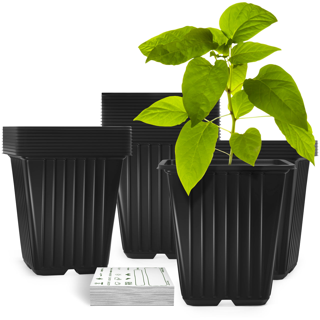 30 Pack 3.8 Inch Deep Plastic Seedling Pots - Reusable Seed Starter Pots 