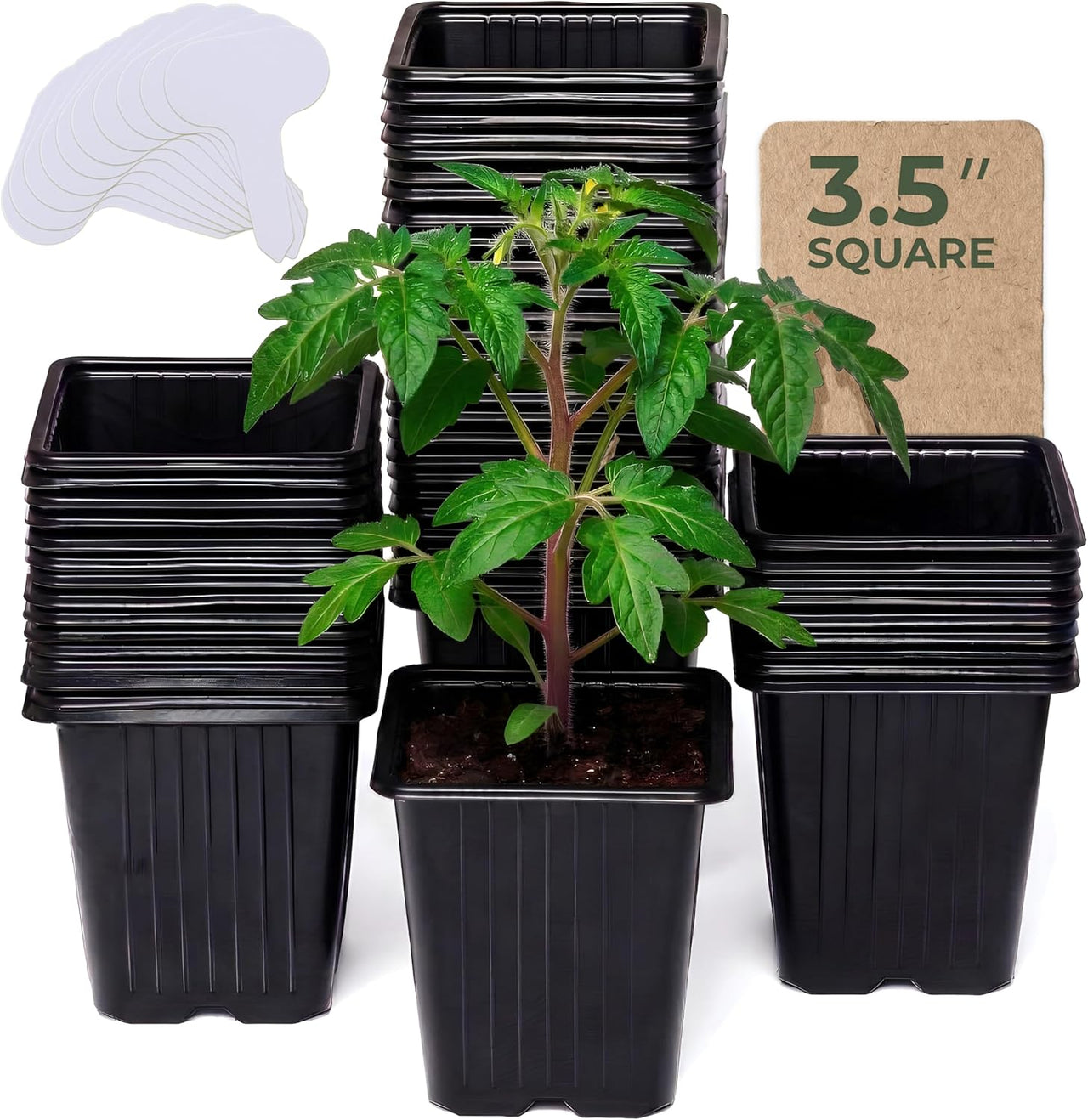 plant pots set Square Nursery Pots - 60 Pack 3.8 Inch Deep Plastic Seedling Pots - Reusable Seed Starter Pots