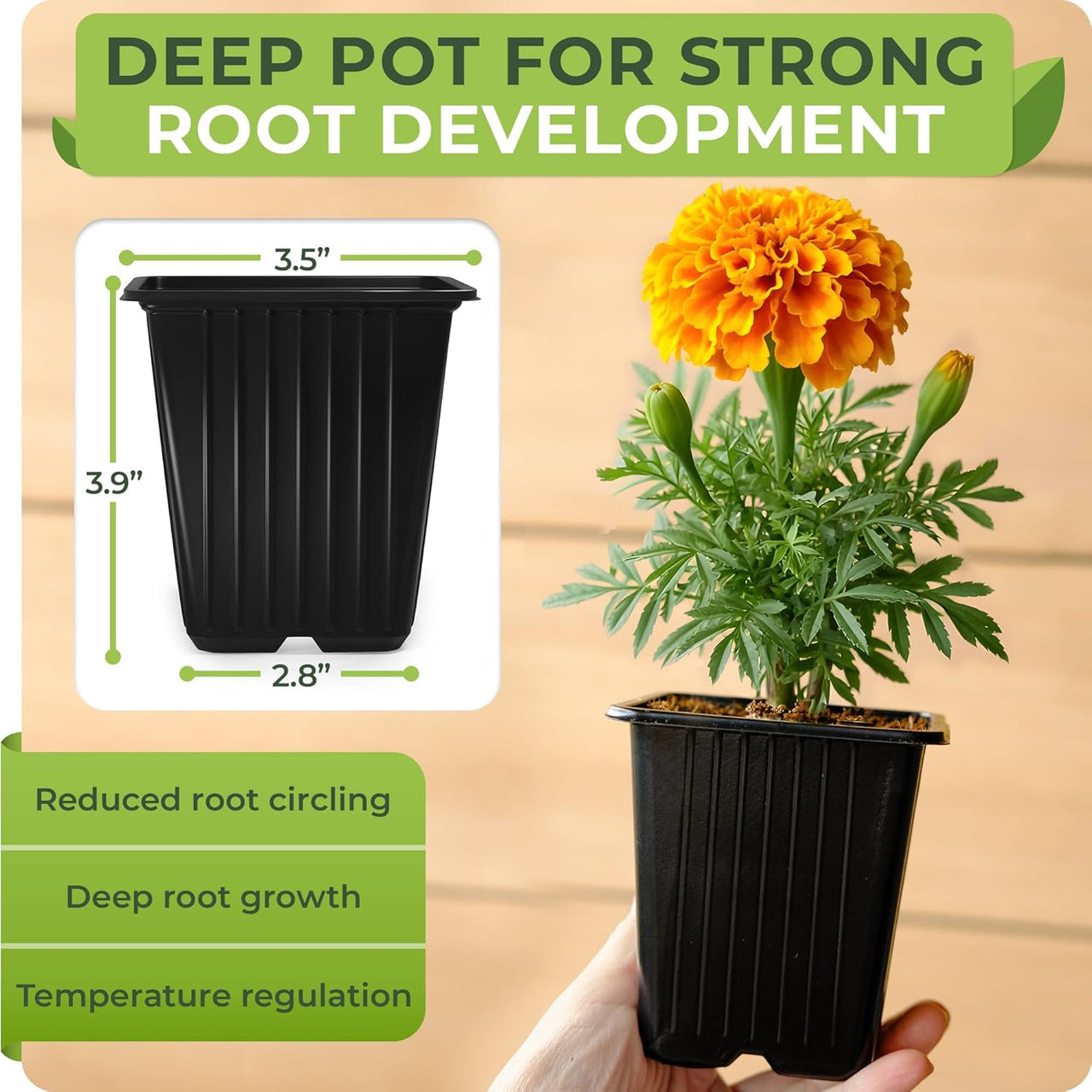 seeds for flower pots Square Nursery Pots - 60 Pack 3.8 Inch Deep Plastic Seedling Pots - Reusable Seed Starter Pots