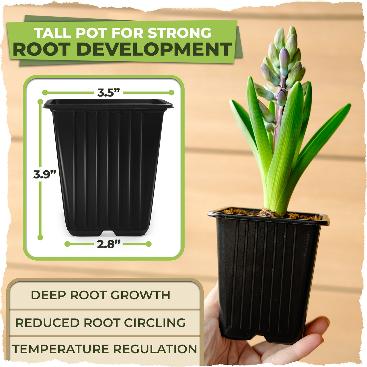 Crafted from robust, thicker plastic that's CAL65 compliant, our planter nursery pots are your ticket to thriving plants.