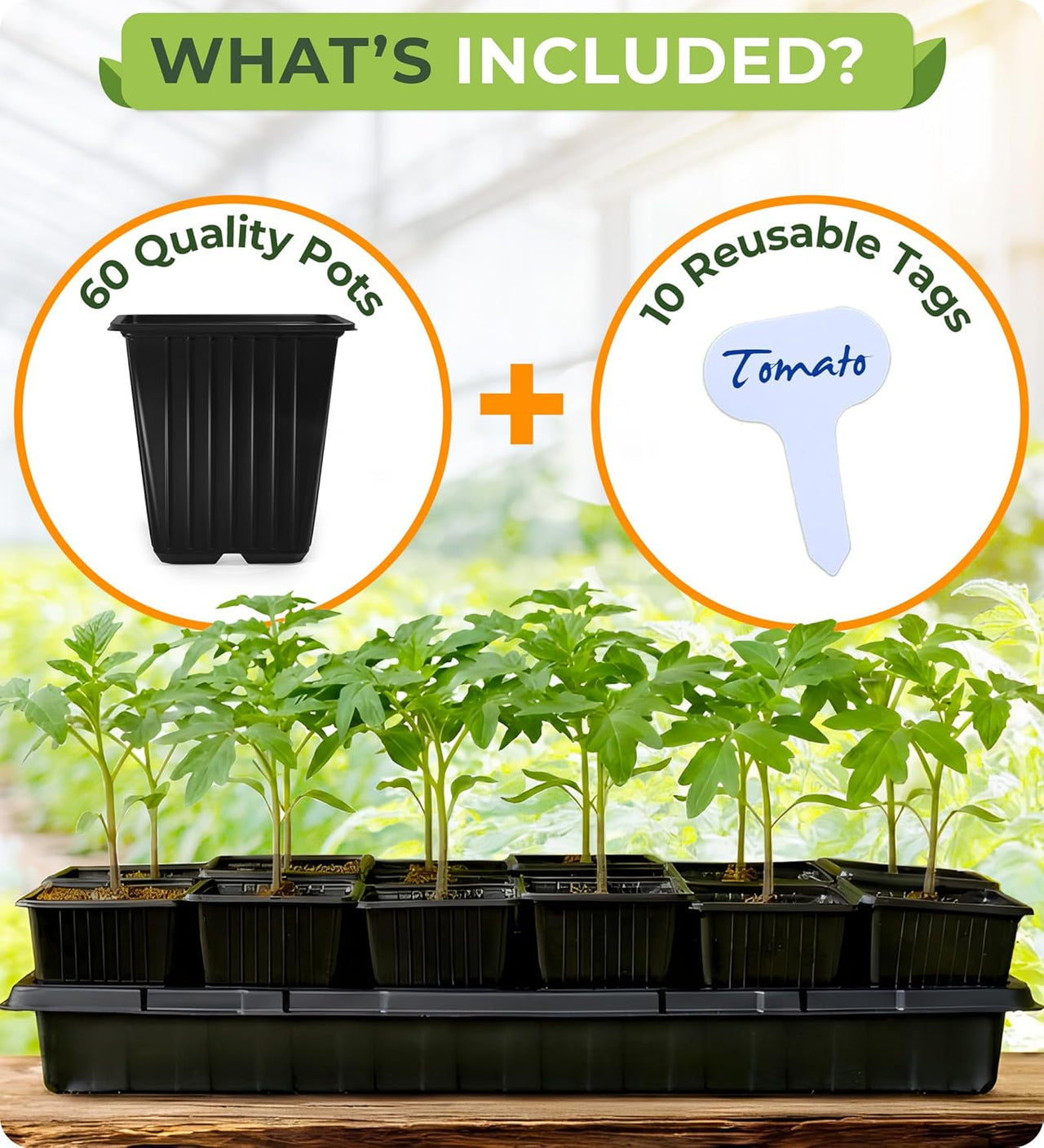 flat plant pot Square Nursery Pots - 60 Pack 3.8 Inch Deep Plastic Seedling Pots - Reusable Seed Starter Pots