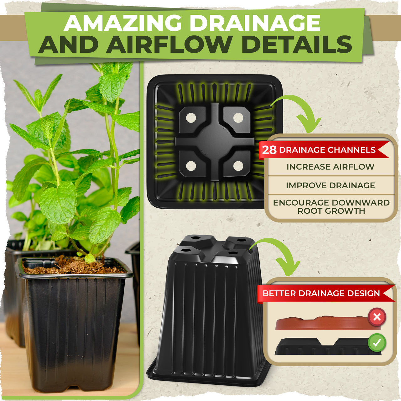 Designed with a total of 4 outlets, our starter plant pots prioritize impeccable water drainage, putting an end to root rot woes and creating the perfect environment for your plant roots to flourish.