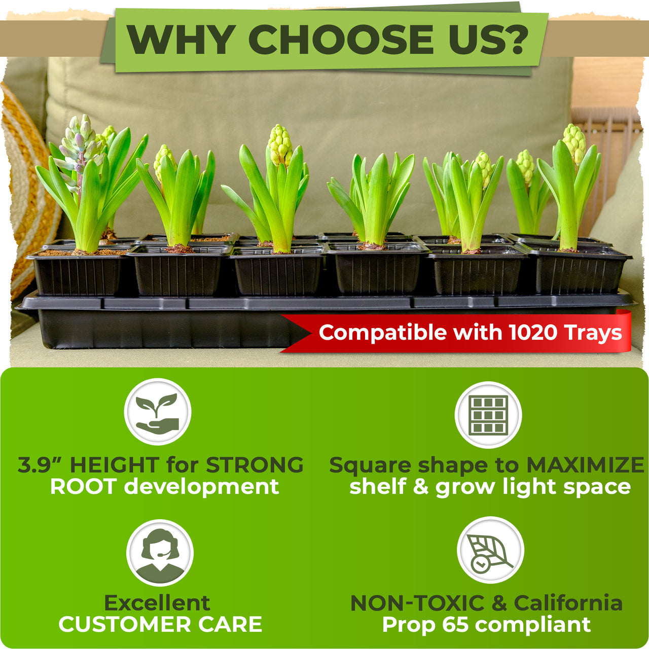 Embrace the beauty of a harmonious environment while your plants steal the spotlight in these minimalist black plastic seed starter pots.