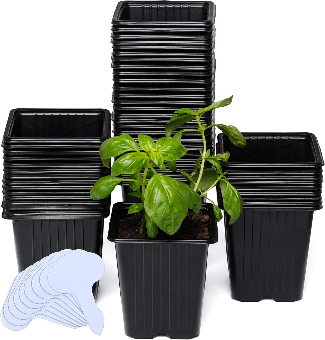 60 Pack 3.8 Inch Deep Plastic Seedling Pots - Reusable Seed Starter Pots