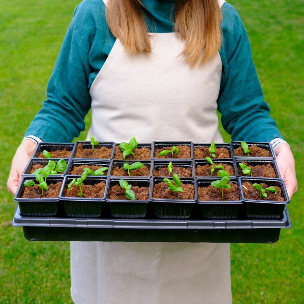 Square Nursery Pots - These reusable 4-inch square seedling pots feature reinforced plastic, flexible design, and built-in drainage holes to prevent root rot.