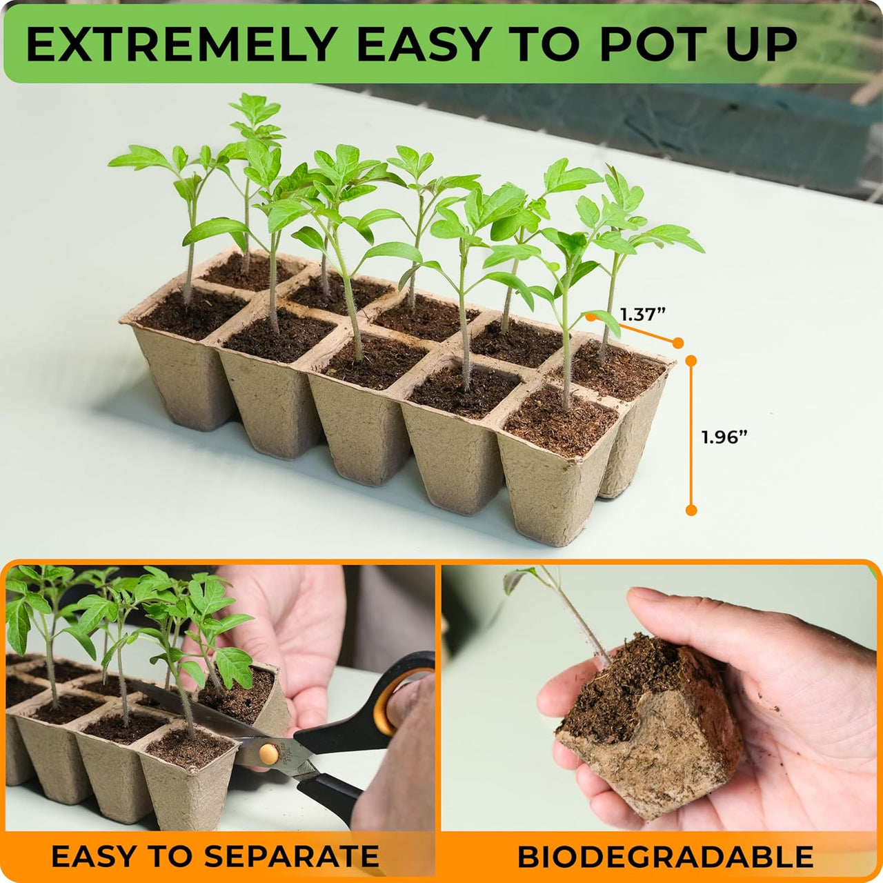 Seed Starter Tray - Seed Starting Tray with Humidity Dome and 80 Peat Pots for Seedlings - Plant Germination Trays Plant Starter Kit and Base Mini Greenhouse Germination Kit | CARPATHEN