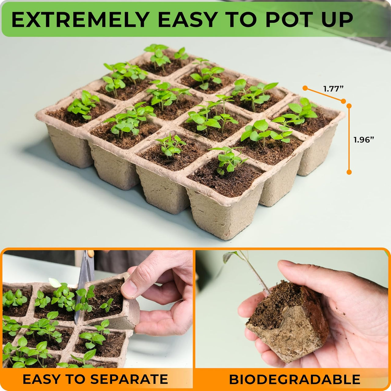 Seed Starter Tray Kit - 5 x Seed Starting Trays with Humidity Dome (120 Cells Total), Labels and Tools - Seedling Starter Trays Plant Germination Trays - Mini Greenhouse Cloning Kit | CARPATHEN